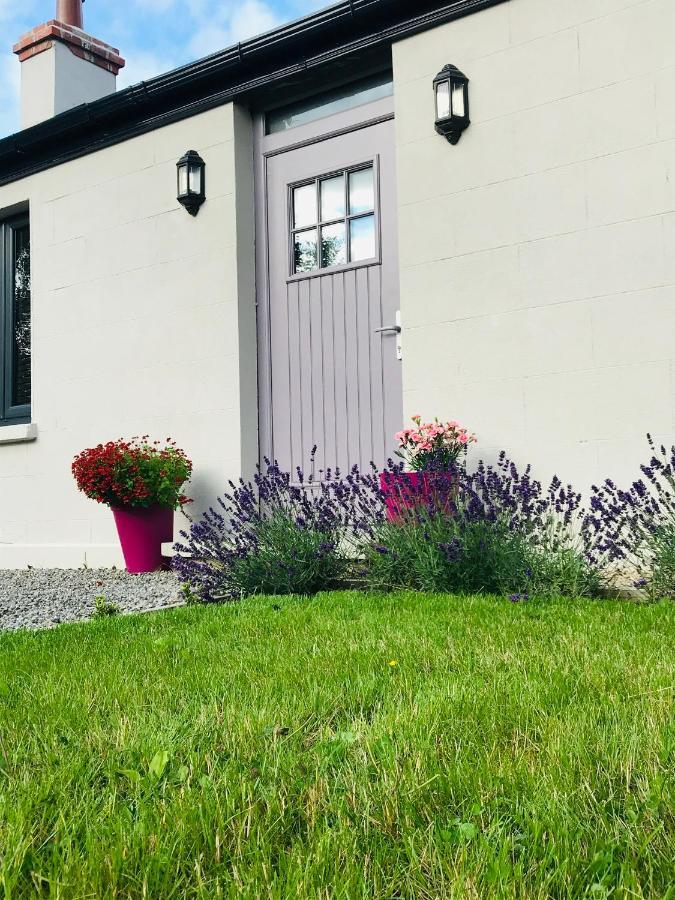 Lavender Cottage - 2 Bedroom Home 纽布里奇 外观 照片